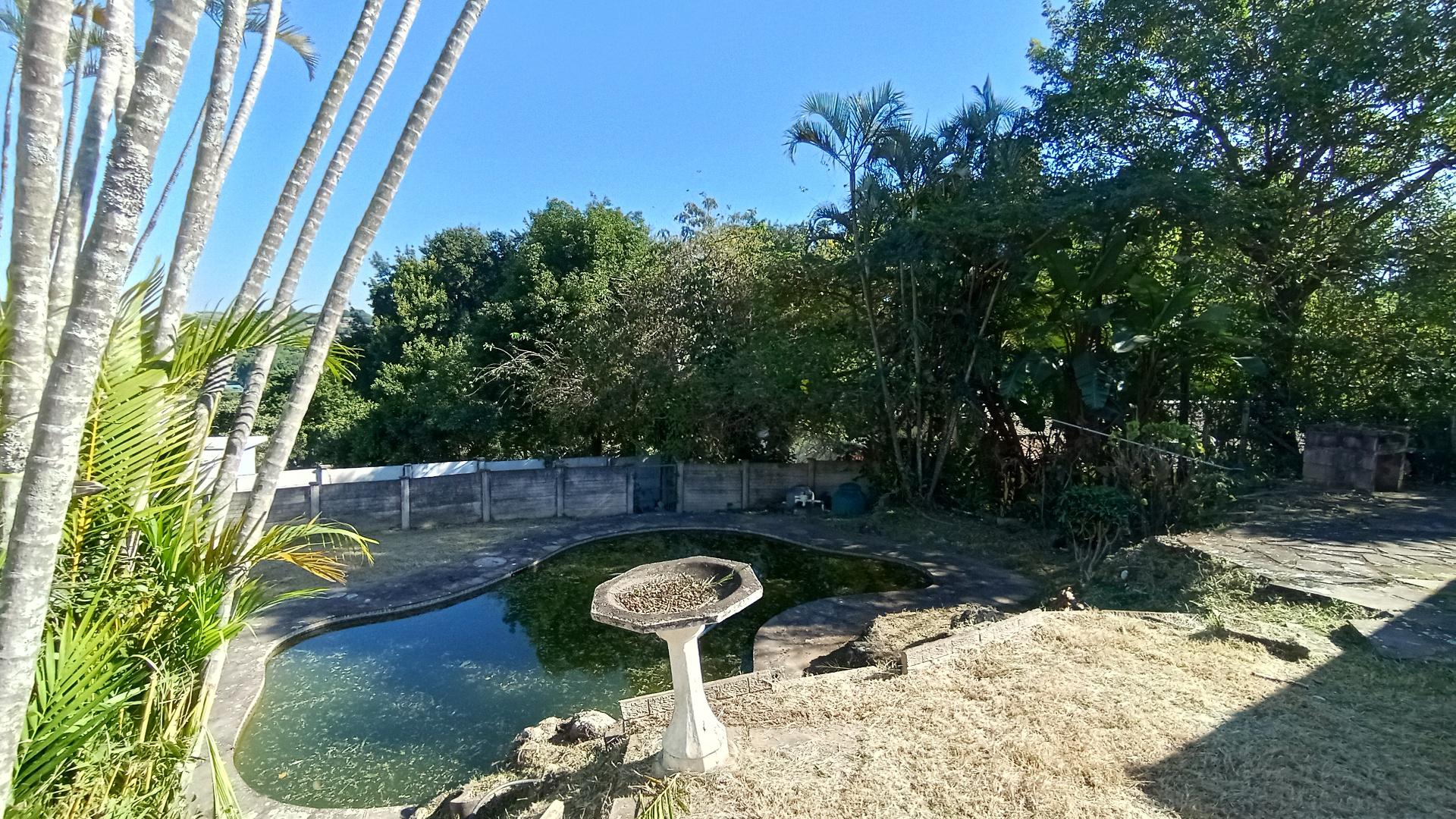 Backyard of property in Hatton Estate