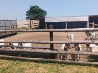  of property in Bolton Wold