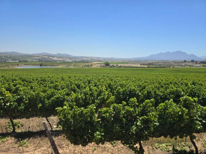 Farm for Sale For Sale in Stellenbosch Farms - MR665832