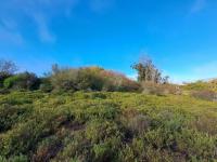  of property in Calitzdorp