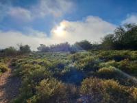  of property in Calitzdorp