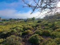  of property in Calitzdorp