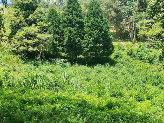 Land for Sale For Sale in Clifton Park - MR666826