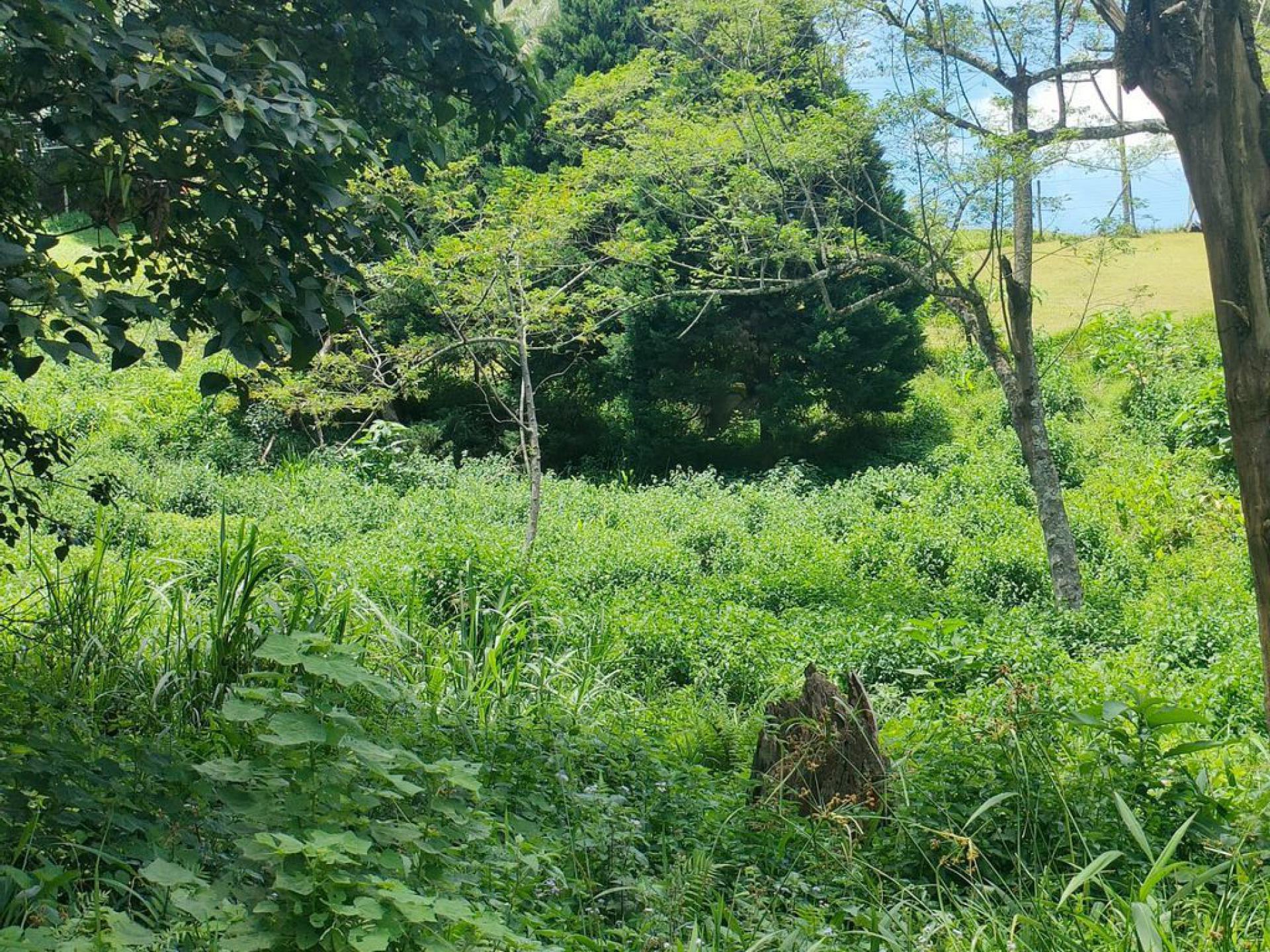  of property in Clifton Park