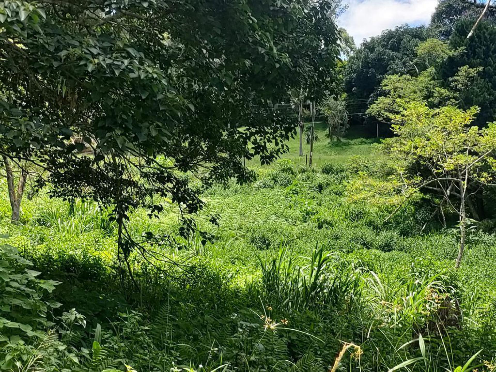  of property in Clifton Park