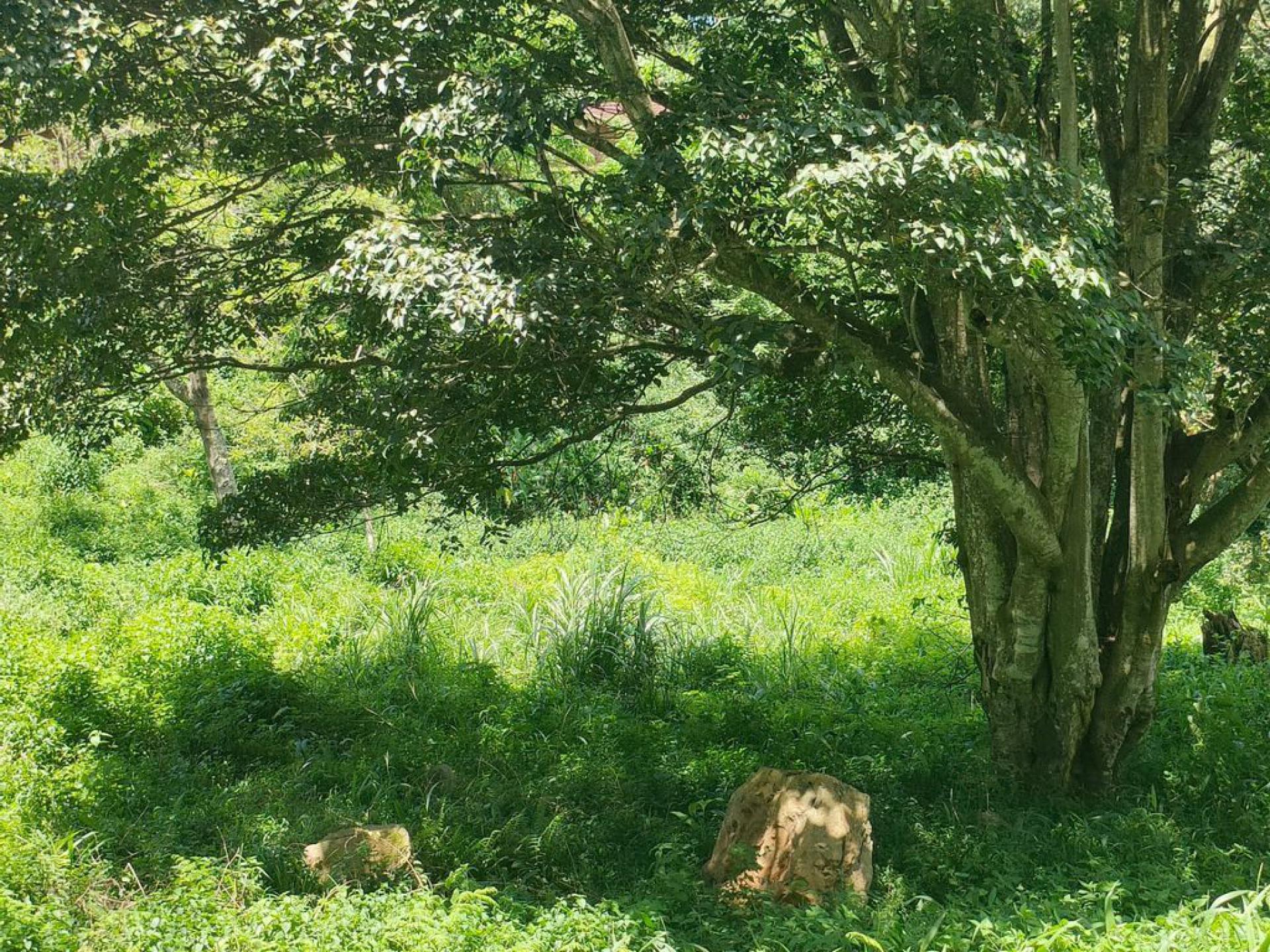  of property in Clifton Park