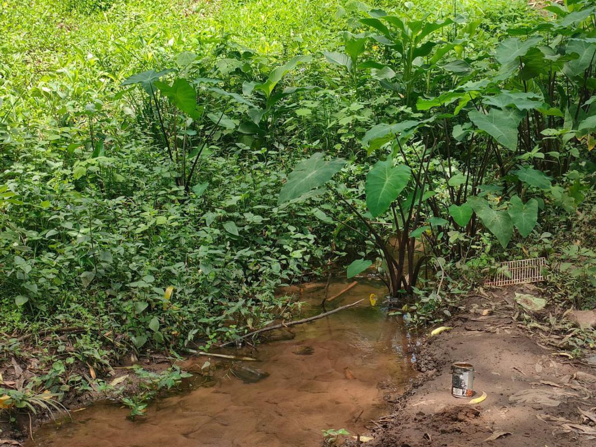  of property in Clifton Park