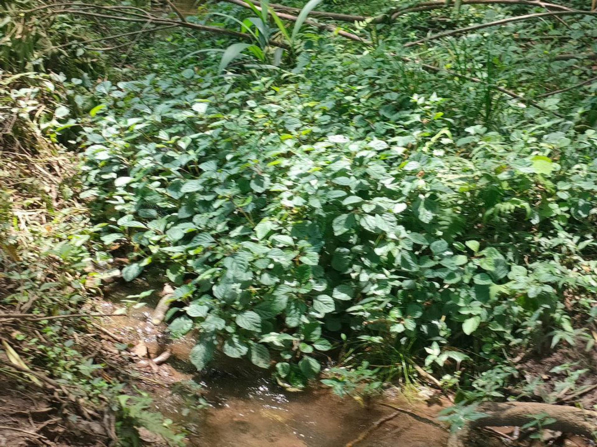  of property in Clifton Park