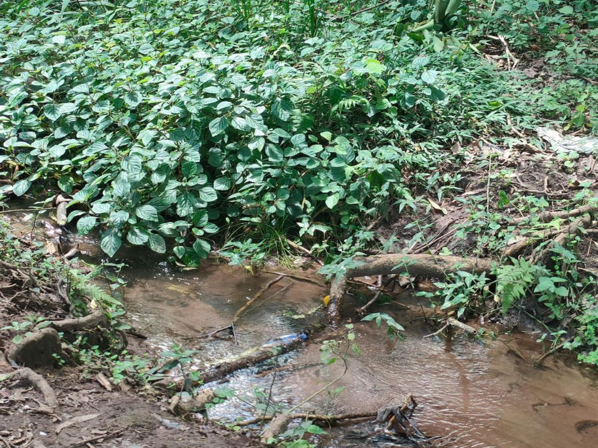  of property in Clifton Park