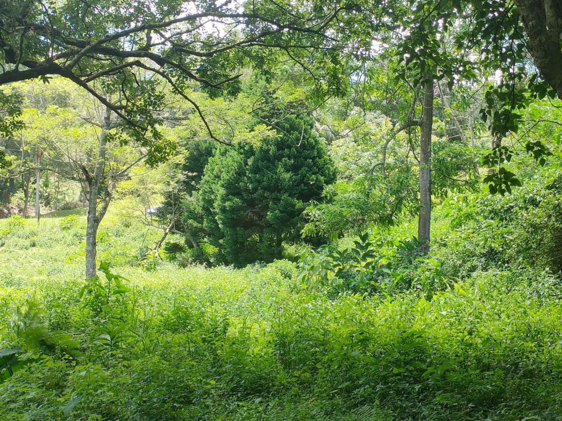  of property in Clifton Park