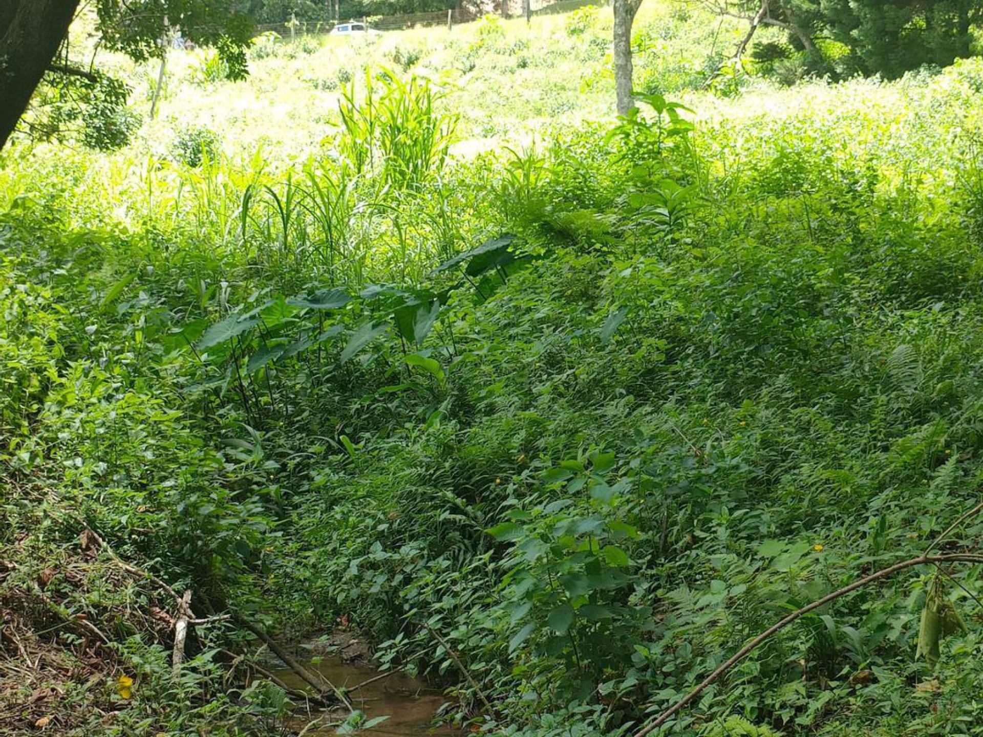  of property in Clifton Park