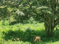  of property in Clifton Park