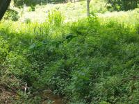  of property in Clifton Park