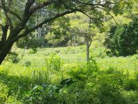  of property in Clifton Park