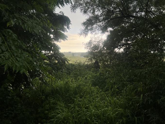 Farm for Sale For Sale in Middelburg - MP - MR666869