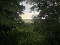 Farm for Sale for sale in Middelburg - MP