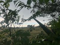  of property in Middelburg - MP