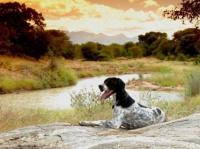  of property in Hoedspruit