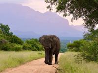  of property in Hoedspruit