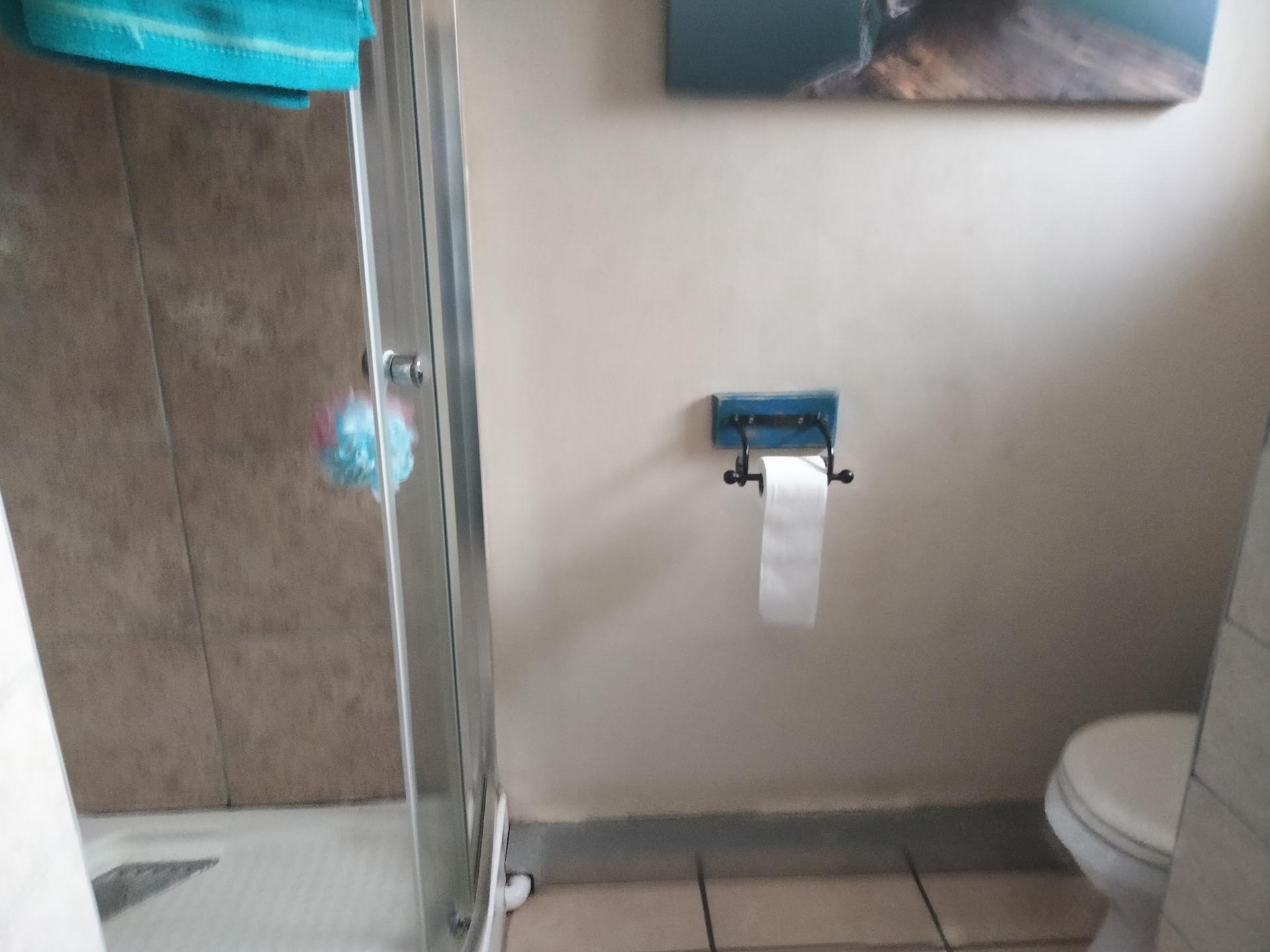 Bathroom 1 of property in Rietkol AH