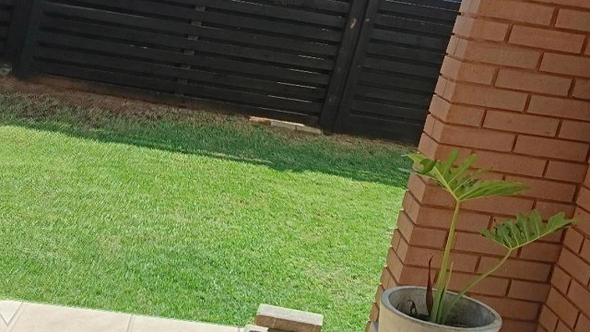 Backyard of property in Sagewood