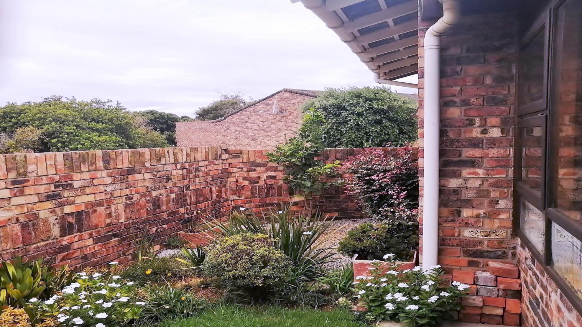 Garden of property in South End