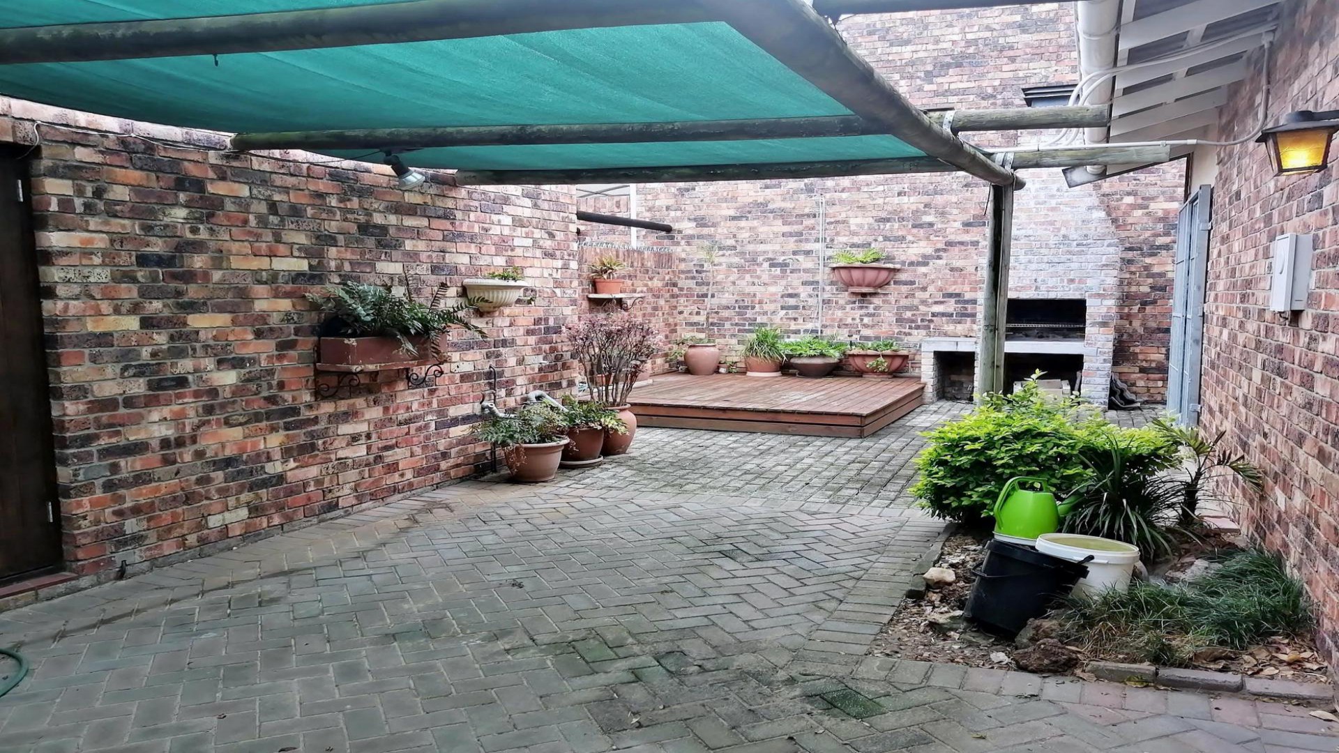Garden of property in South End
