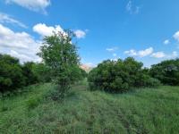  of property in Olifants Nek