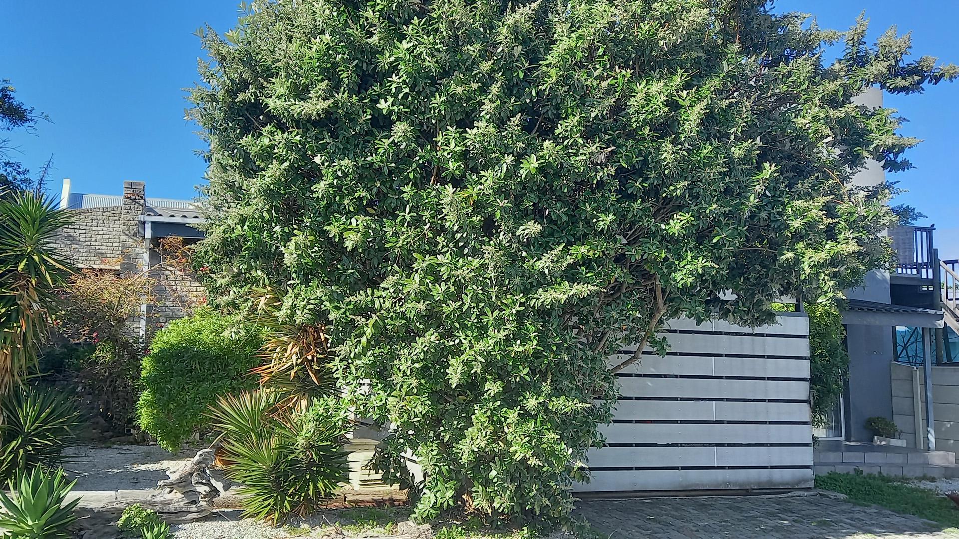 Front View of property in Van Dyks Bay