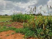  of property in Meyerton
