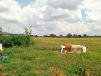 of property in Meyerton