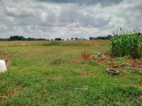  of property in Meyerton