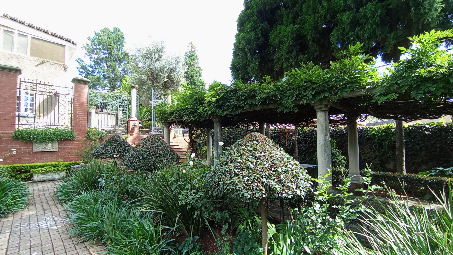 Backyard of property in Auckland Park
