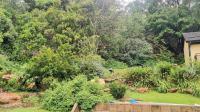 Backyard of property in Mondeor