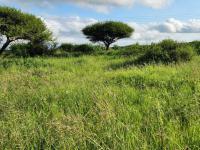 Land for Sale for sale in Tweefontein