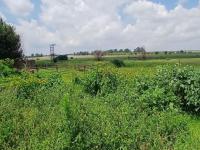Smallholding for Sale for sale in Meyerton