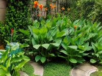  of property in Eldoraigne