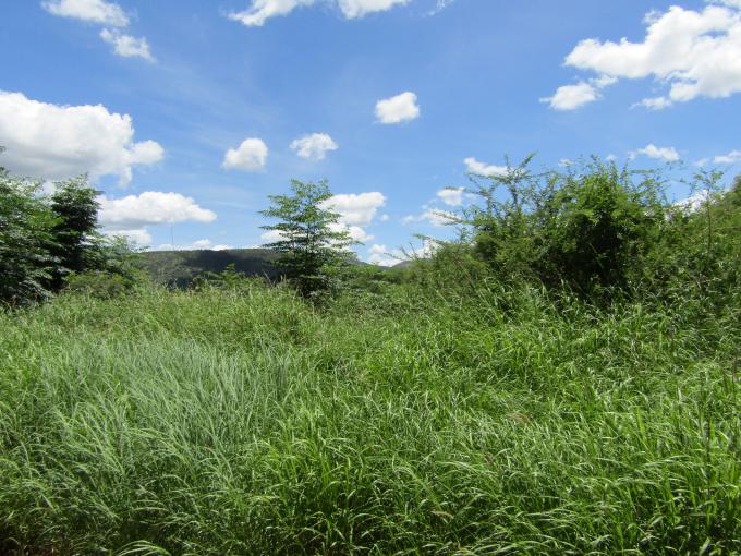 Land for Sale For Sale in Thabazimbi - MR670281