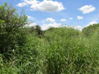  of property in Thabazimbi
