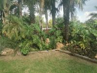  of property in Elspark