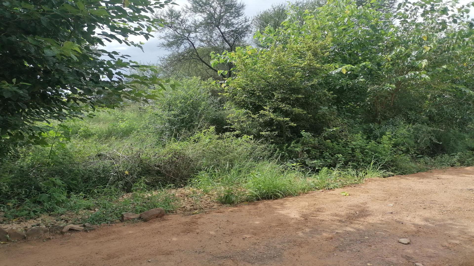 Backyard of property in Modimolle (Nylstroom)