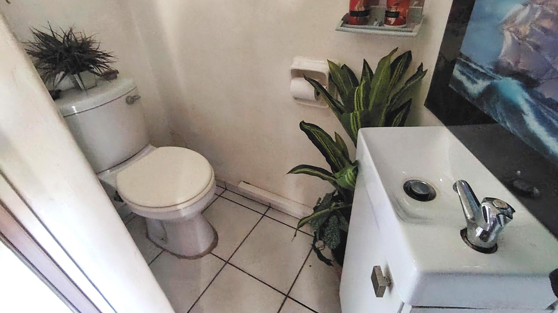 Guest Toilet of property in Shelly Beach