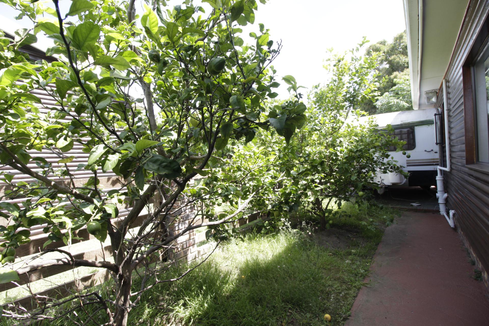  of property in Gamtoos Mouth