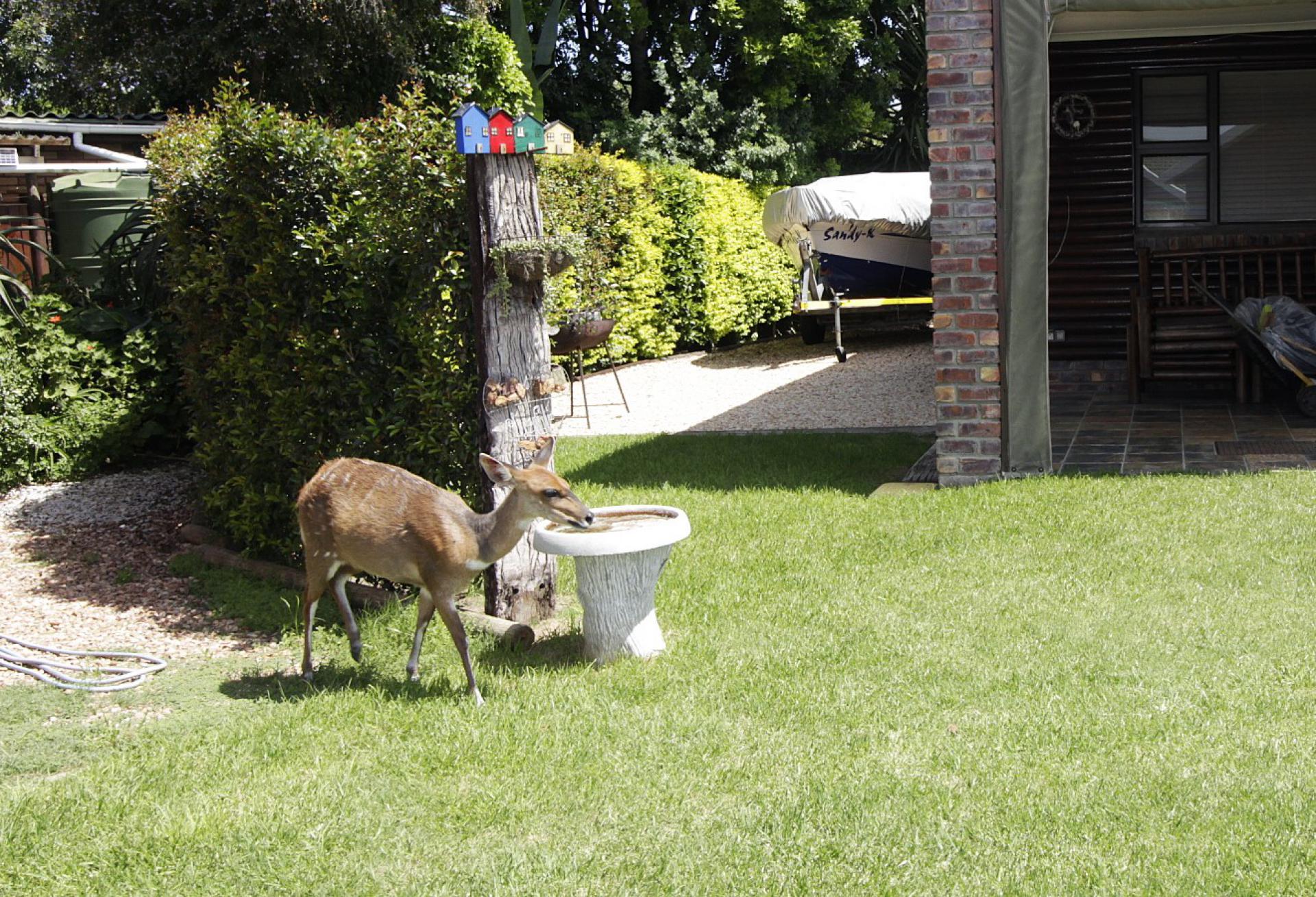  of property in Gamtoos Mouth