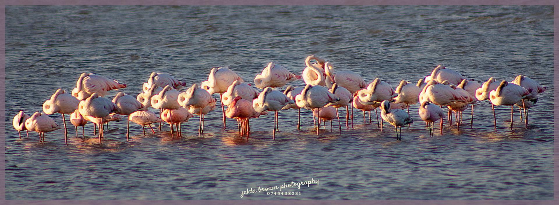  of property in Paradise Beach