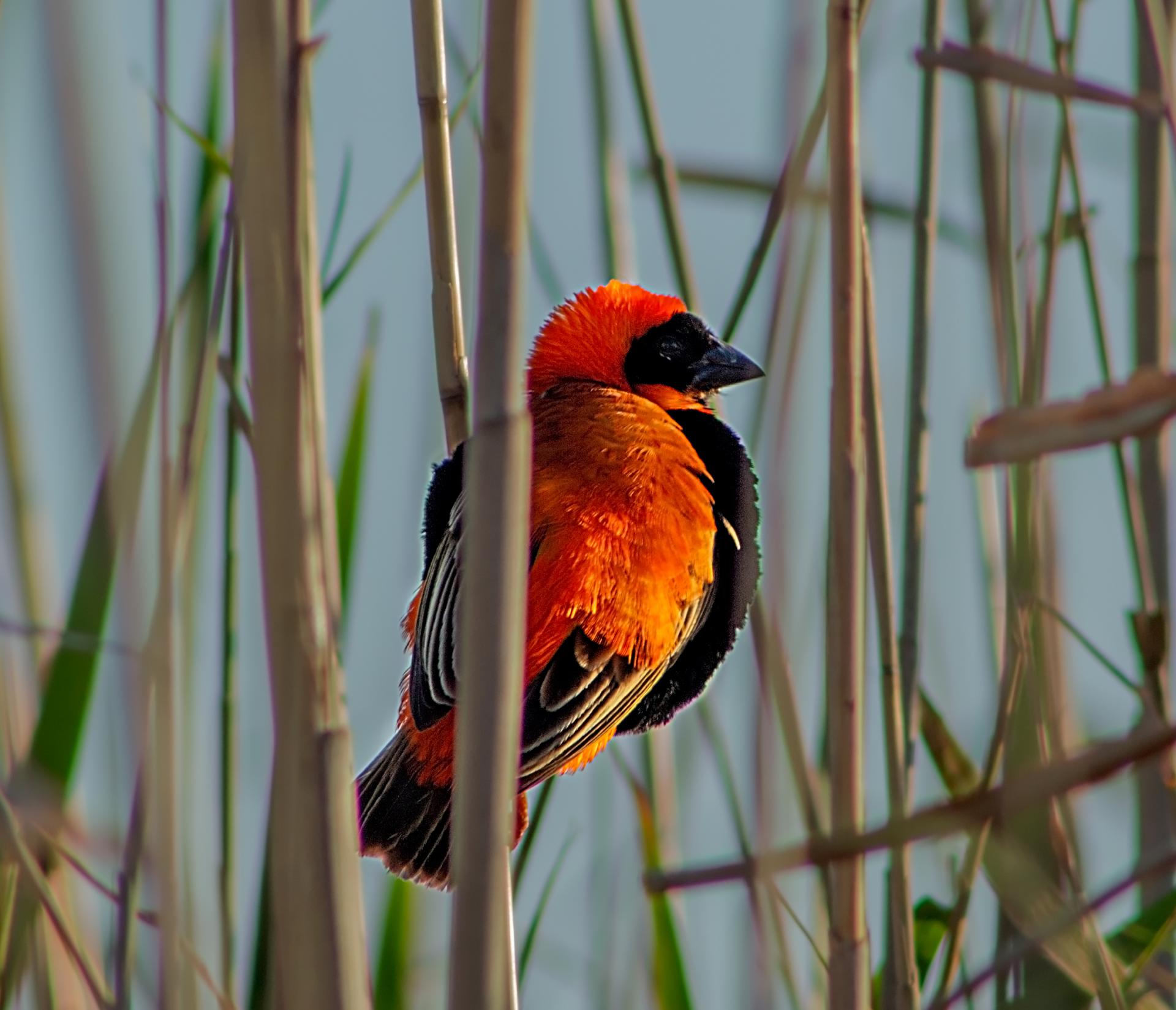  of property in Paradise Beach