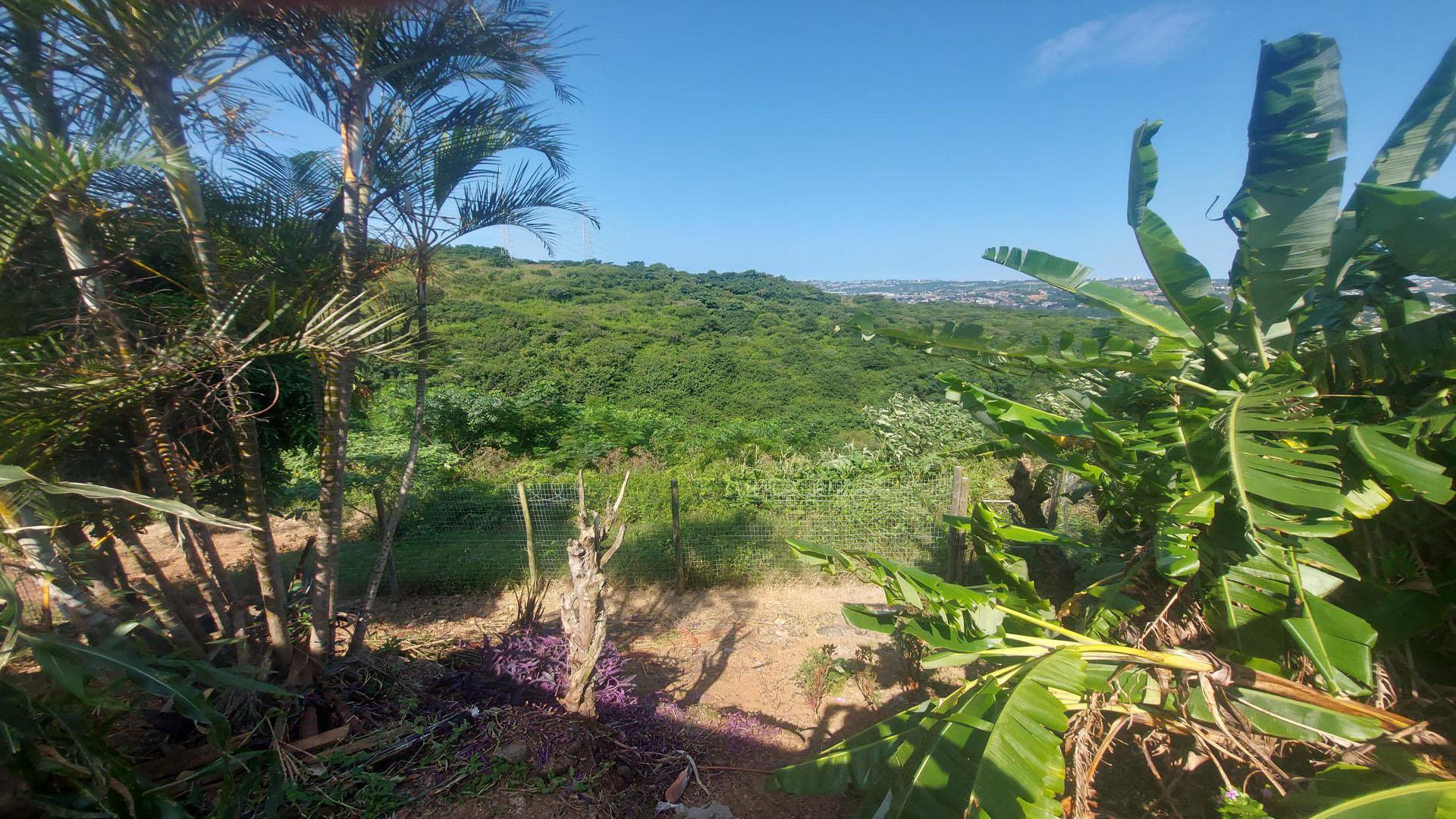 Backyard of property in Hillgrove