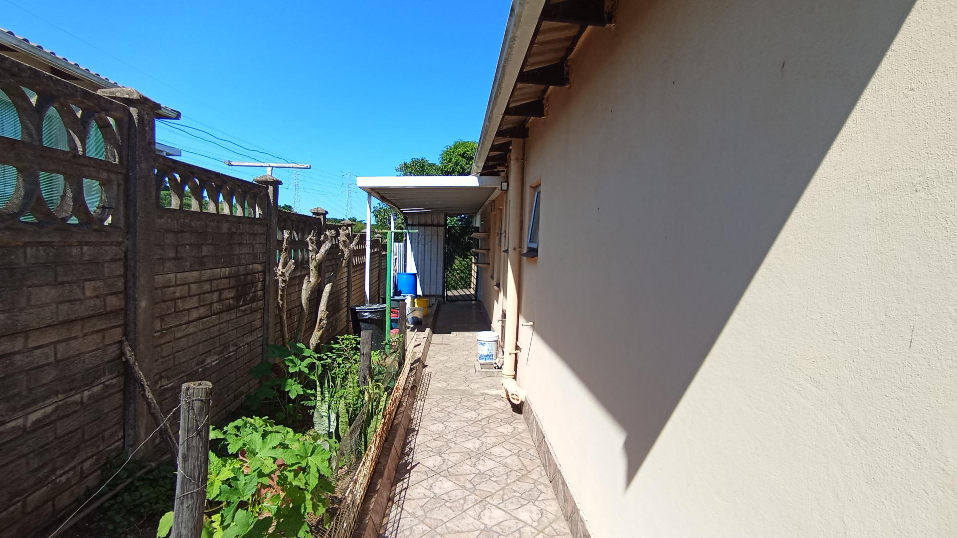 Backyard of property in Hillgrove