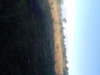  of property in Malamulele