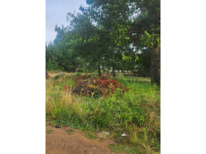 Land for Sale For Sale in Belfast - MR671192